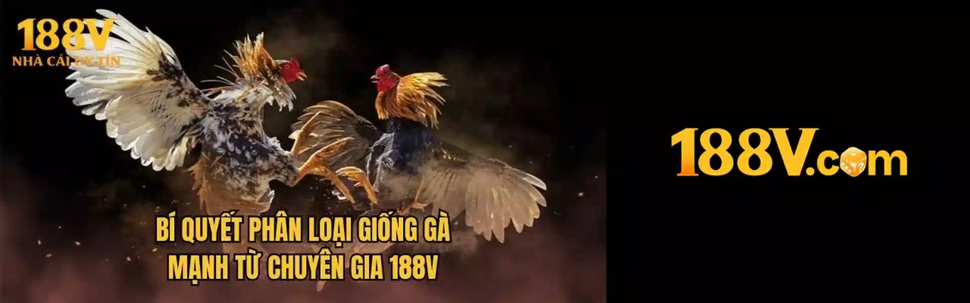 888SLOT